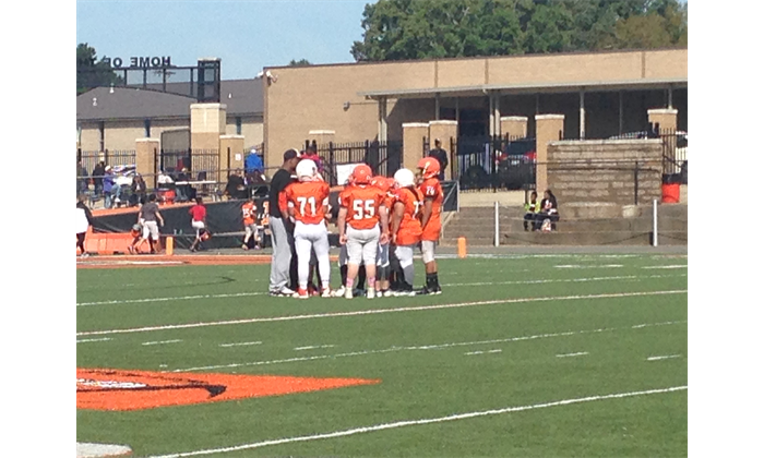 The Leopards Planning Their Next Move!